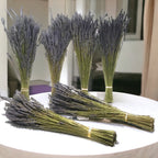 Dried Lavender Bundles for Home Decor Aromatherapy Floral Display