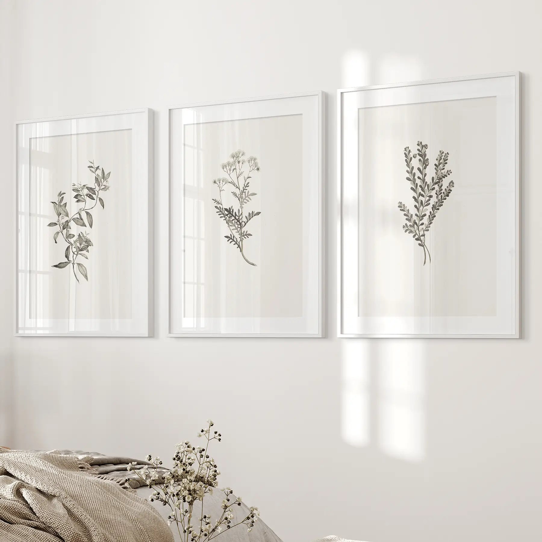 Vintage Botanical Wall Art Set of 3 — Minimalist Framed Prints for Bedroom or Living Room
