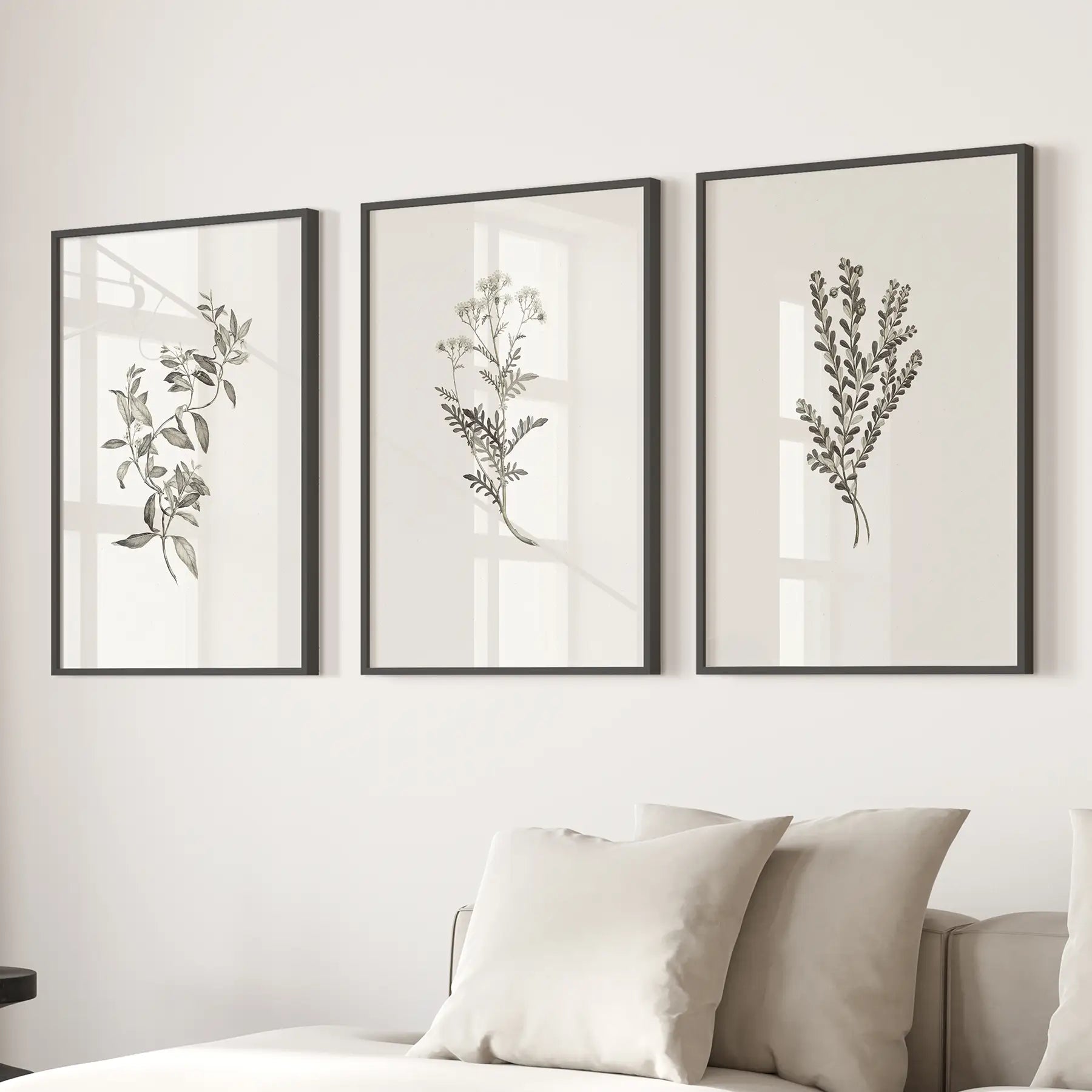 Vintage Botanical Wall Art Set of 3 — Minimalist Framed Prints for Bedroom or Living Room