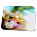 3dRose Kike Calvo Healthy Life - Plate of fresh fruits and flowers - Dish Drying Mats (ddm-219710)