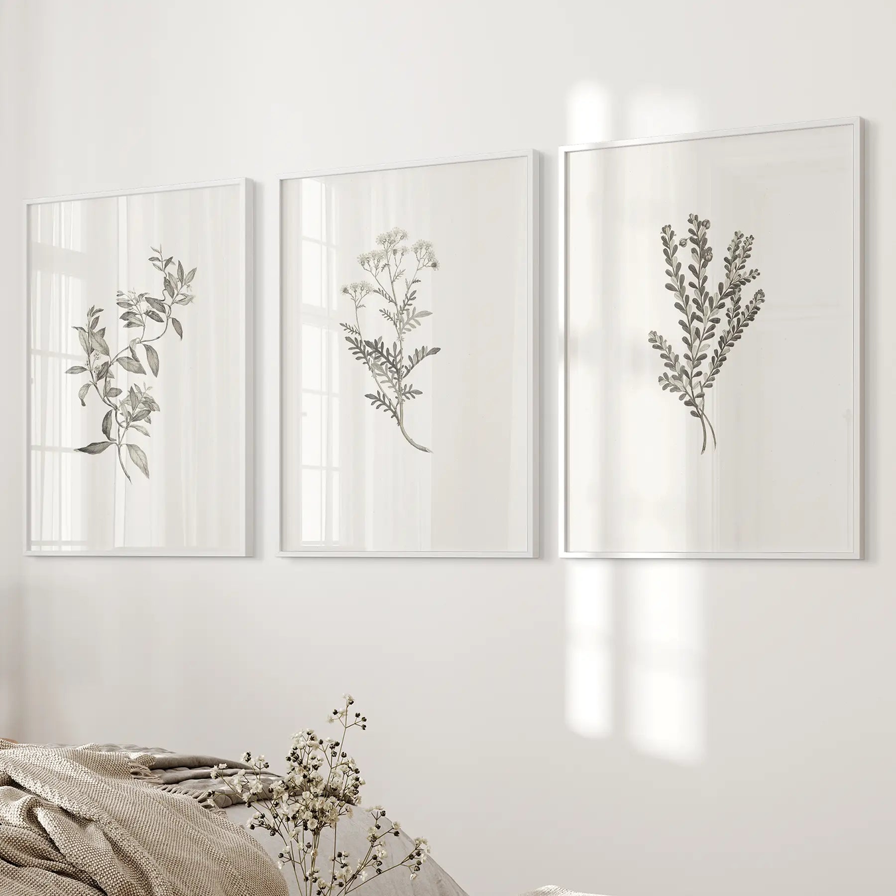 Vintage Botanical Wall Art Set of 3 — Minimalist Framed Prints for Bedroom or Living Room