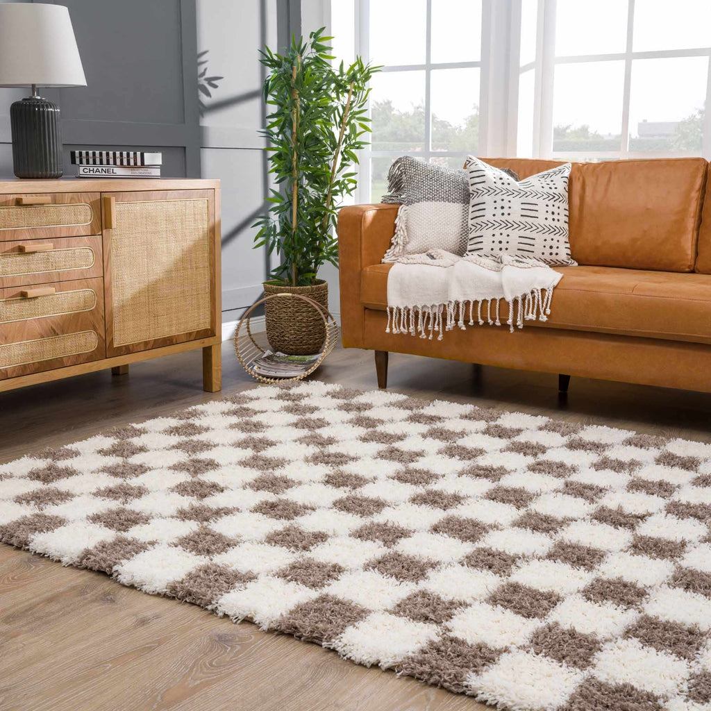 Atira Checkered Shag Area Rug — Cream & Brown Boho Living Room Rug