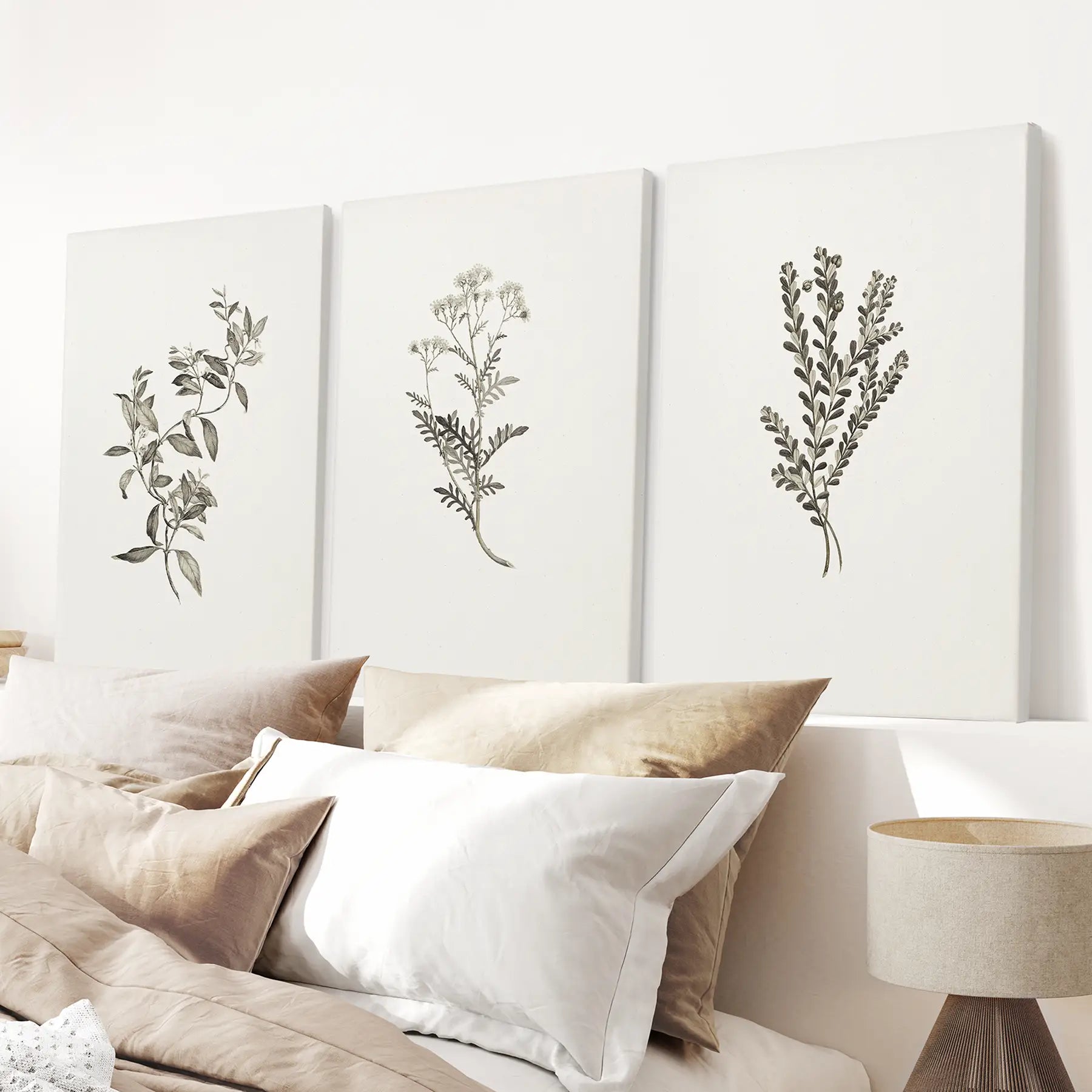 Vintage Botanical Wall Art Set of 3 — Minimalist Framed Prints for Bedroom or Living Room