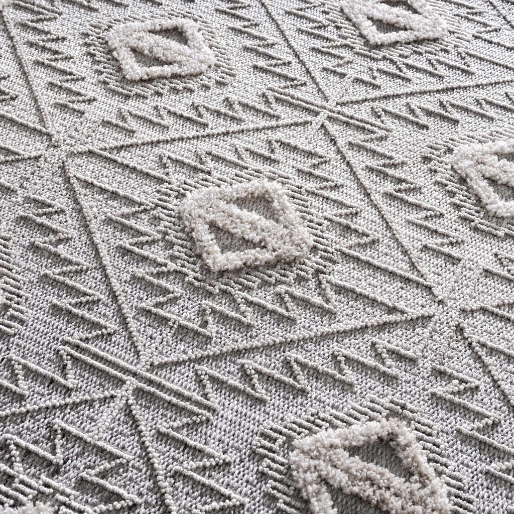 Agoo Area Rug