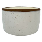 Solid Dish Soap Jar & Brush